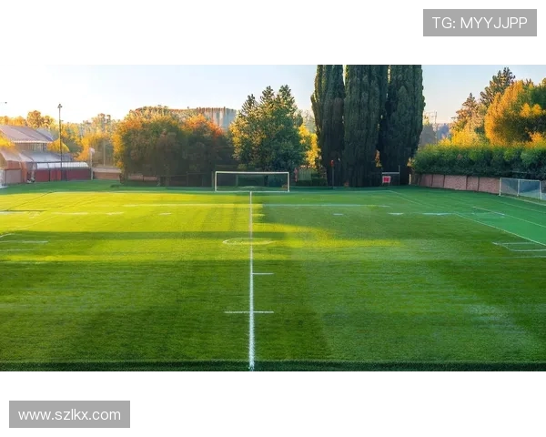 以绿茵激情为核心全景解析世界足球竞技文化魅力与时代风潮新趋势