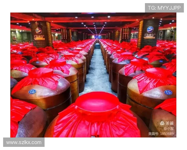 南京头排苏酒巅峰对阵引爆江南酒坛风云再起争锋荣耀时刻 南京头排苏酒巅峰对阵引爆江南酒坛风云再起争锋荣耀时刻