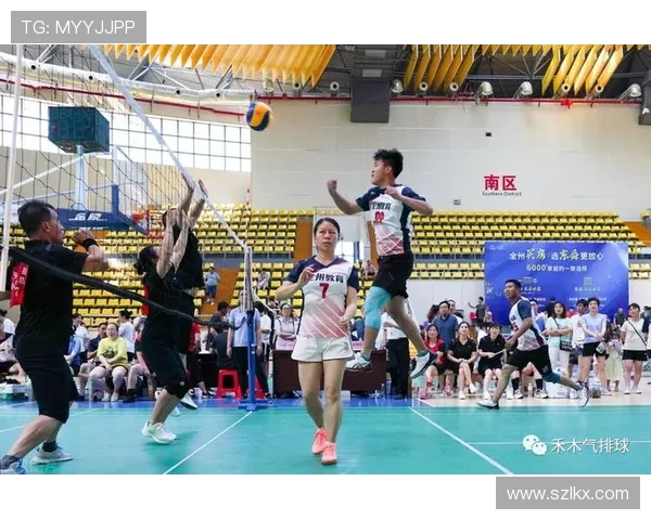 上海排球队整体压制策略解析与战术优势探讨