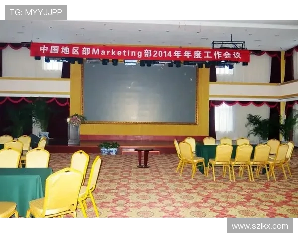 广州乒乓球队运营分析：成功经验与面临挑战的深度探讨