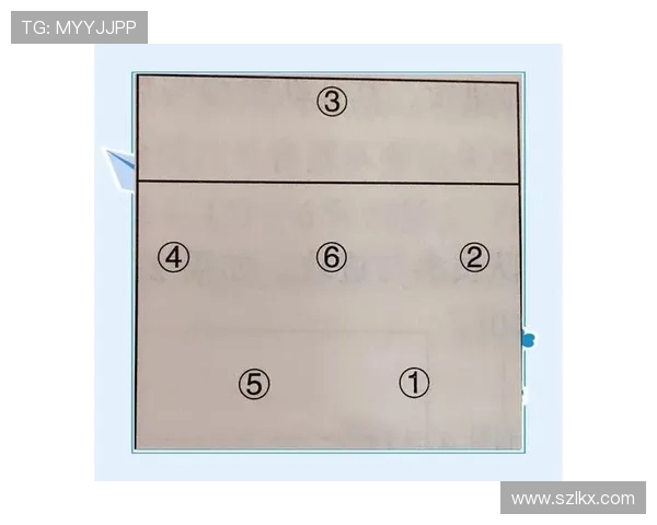 武汉排球队在锦标赛中的节奏表现分析与战术探讨